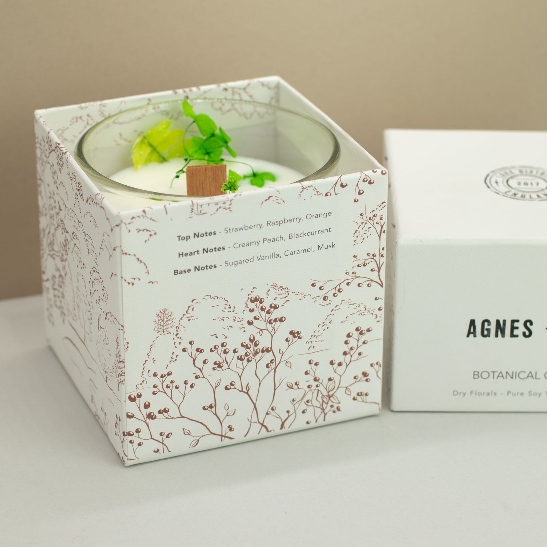 Agnes + Cat Botanical Soy Wax Candle - Fellberry by AW Dropship UK